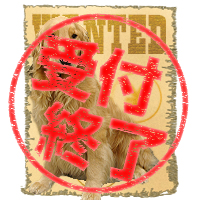 わんのはな 愛犬ボーノ 募集