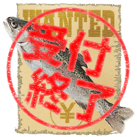 虹鱒 募集