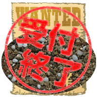 つち!? プランター用 培養土 募集