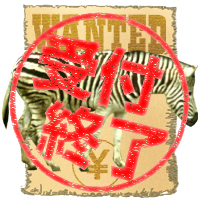 シマウマ 募集