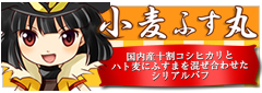 健康食品 小麦ふす丸
